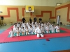 DSCN8913
